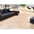 thumbnail image 1 of ECARPET Indoor Outdoor Area Rug for Patio, Deck, Living Room Sisal Safari Collection, 1 of 9