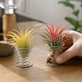 thumbnail image 5 of Minimalist Metal Air Greenery Stands Set of 3, Spring Base Soilless Botanical Holders for Office Desk, Workspace, Home Living Room, Shelf & Tabletop Decorative Display for Modern Interiors, 5 of 7