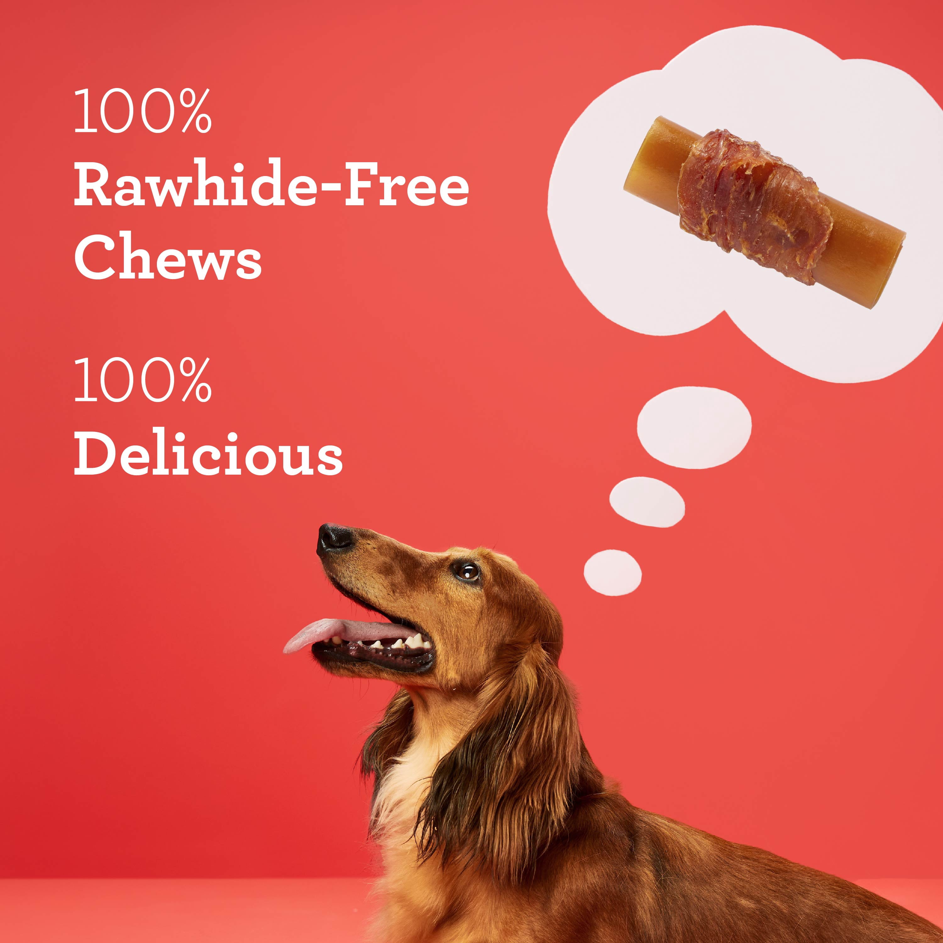 DreamBone Holiday Dog Bowl with Peanut Butter Mini Chews Wrapped in Real Chicken, 10 Chews