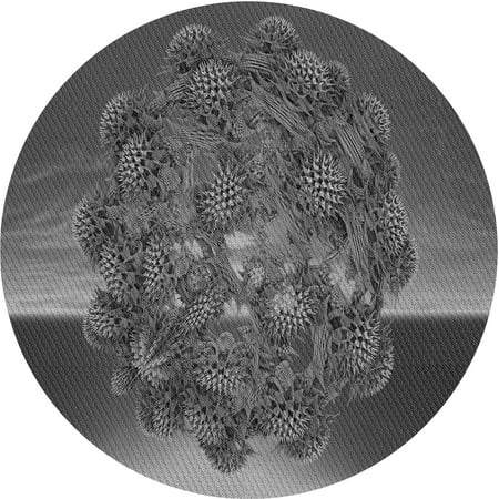 

Ahgly Company Indoor Round Patterned Gray Area Rugs 4 Round