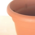 thumbnail image 3 of Bloem Ariana 12" Round Self-Watering Resin Planter Pot - Rolled Rim Indoor and Outdoor Planter, Muted Terra Cotta, 3 of 6