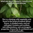 thumbnail image 5 of Naturalike DRIED AFANG OKAZI LEAVES -1oz- OKAZI Organic Herbal Tea -100% Raw Natural Herbal Tea - No Sugar, Caffeine Free, - Healthy & Delicious Drinks & Recipes - AFANG OKAZI Dried Cut Leaves -23gr, 5 of 5