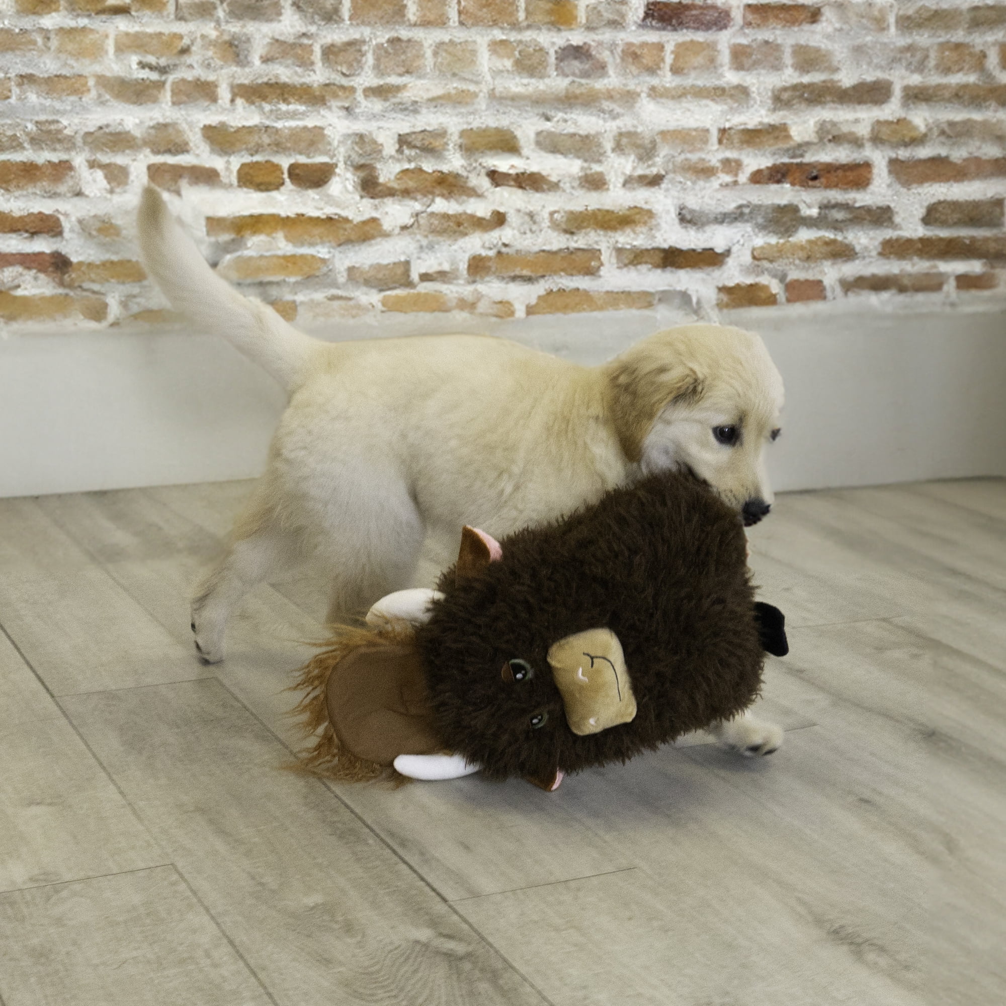 KONG® Comfort Squeaker Dog Toy, Highland Cow, Jumbo Extra Large
