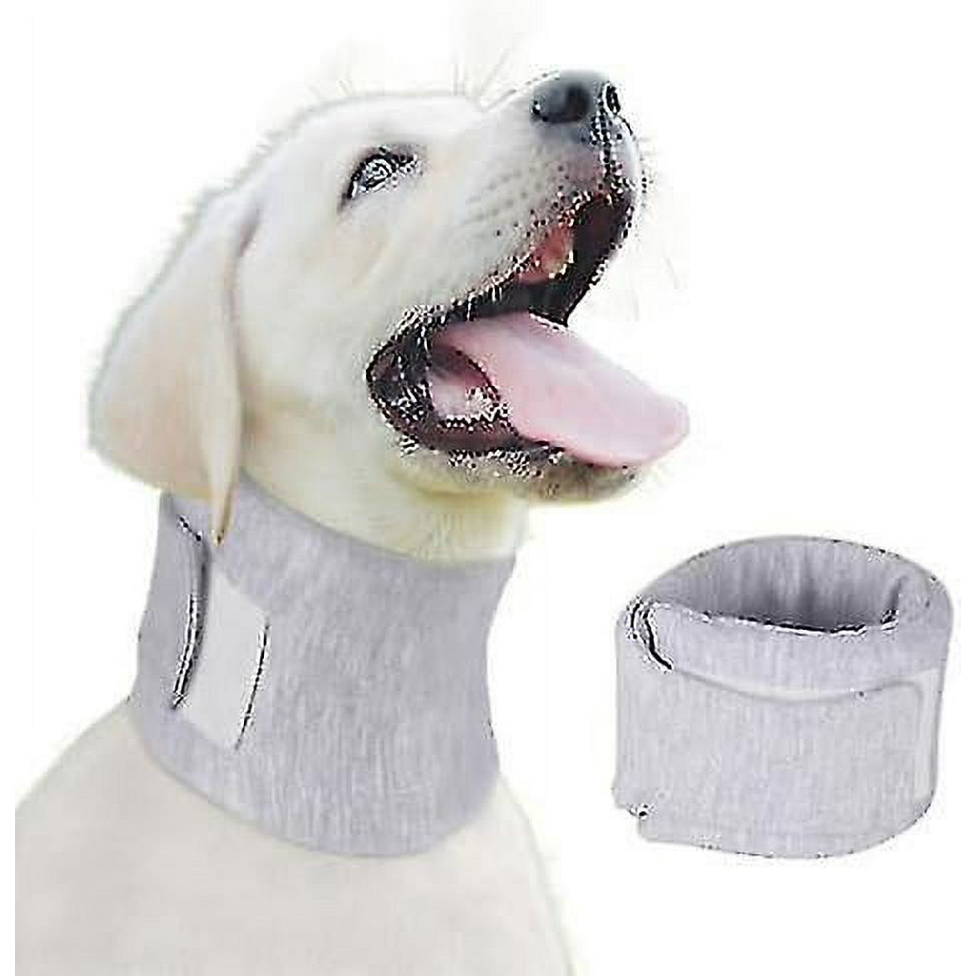 Dog Neck Brace Elizabethan Collar For Pet Recovery After Surgery Adjustable Breathable Neck Cervical Cone For Cats Dogs With Spinal Ivdd Issues Walmart