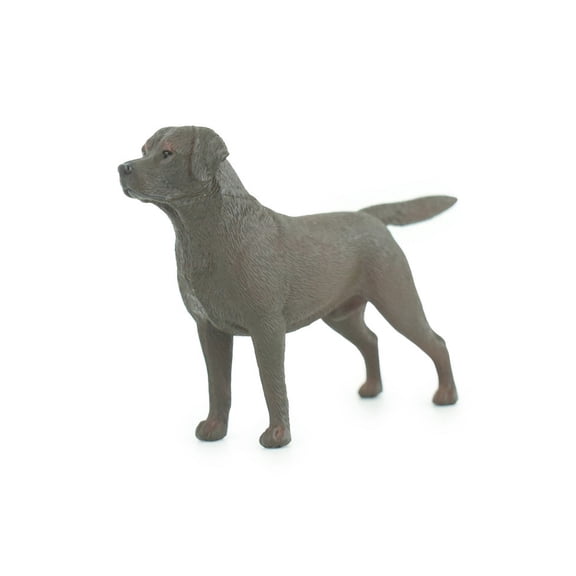Labrador Dog, Chocolate Lab, Hand Painted, Educational, Museum Quality, Rubber Canine, K9, Realistic, Diorama, Figure, Toys, Kids, Gift, 6 Inches. CH935 BB206