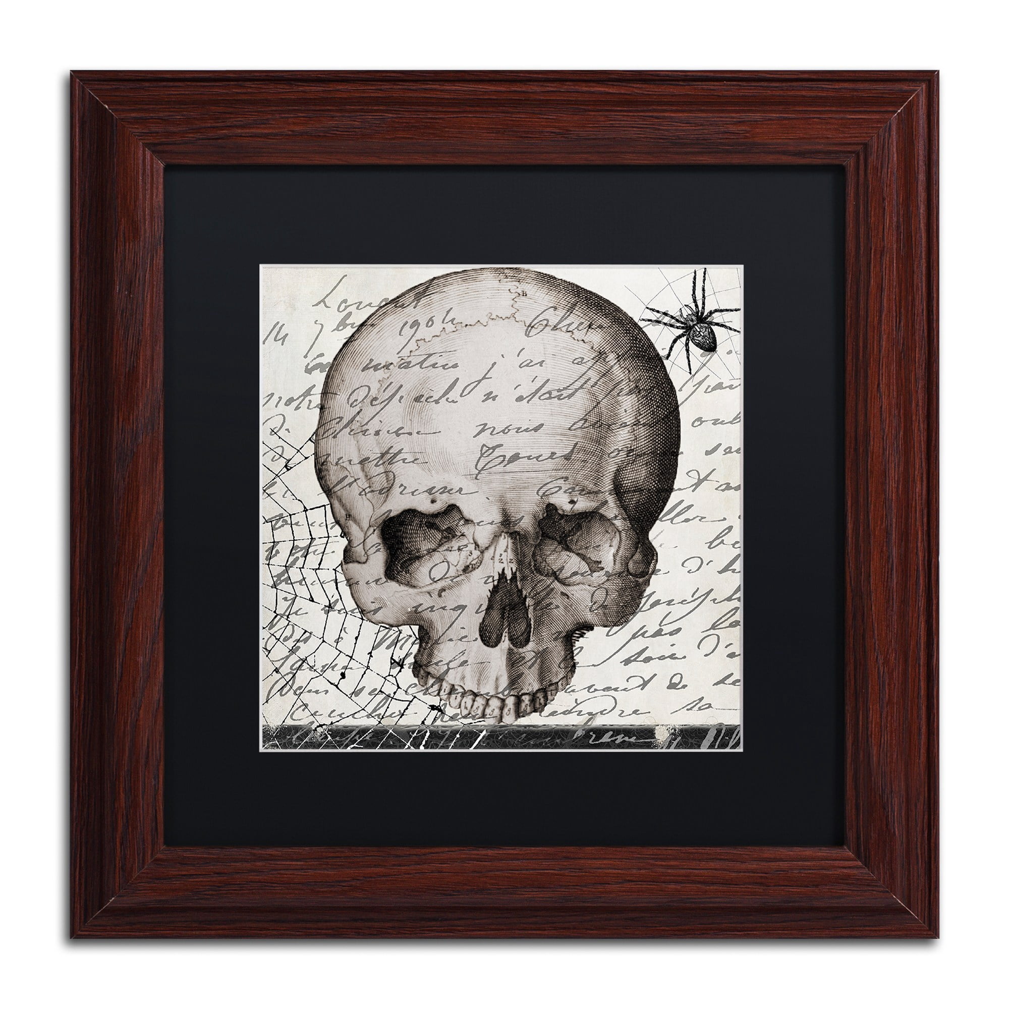 Trademark Fine Art "Halloween Skull" Canvas Art by Color Bakery, Black Matte, Wood Frame