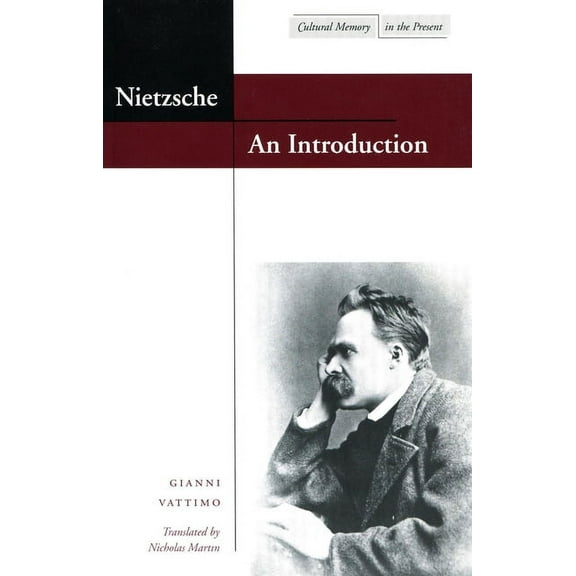 Cultural Memory in the Present: Nietzsche: An Introduction (Hardcover)