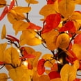 thumbnail image 4 of Nearly Natural Pre-Lit Eucalyptus Artificial Fall Harvest Tree - 21" - Warm White LED Lights, 4 of 4