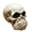 C, variant on Halloween Skull Figurine, Hear See Speak No Evil Skeleton Head Statue, Gothic Resin Home Decor for Desk, Bookshelf, Mantel, Tabletop