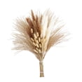 thumbnail image 4 of Ramo de hierba de la pampa natural, ramas de flores secas decorativas, manojo de hierbas secas Estilo A, 4 of 9