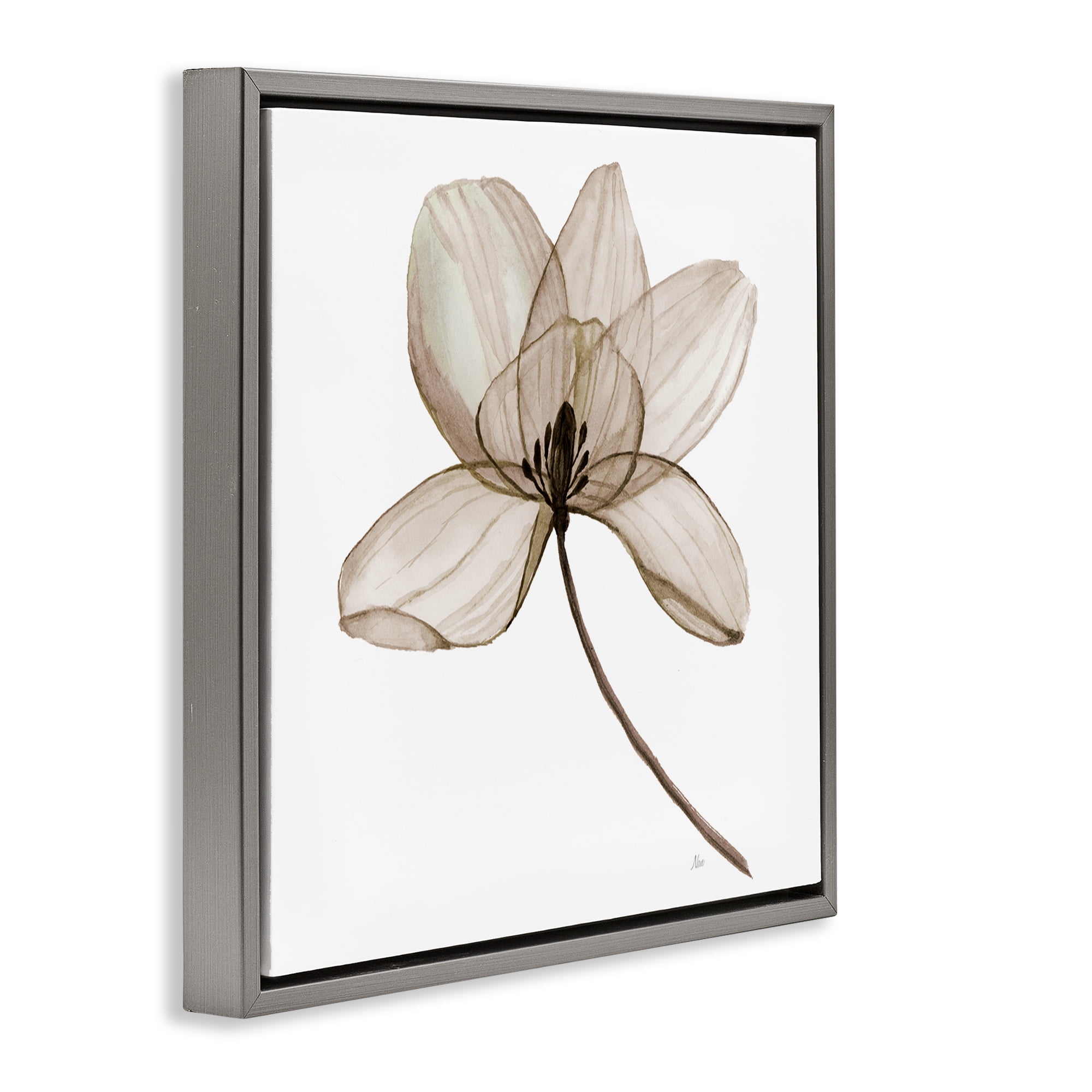 Stupell Industries Beige Opaque Blossom Plants & Flowers Painting Gray Floater Framed Canvas Art Print Wall Art, 25 x 25
