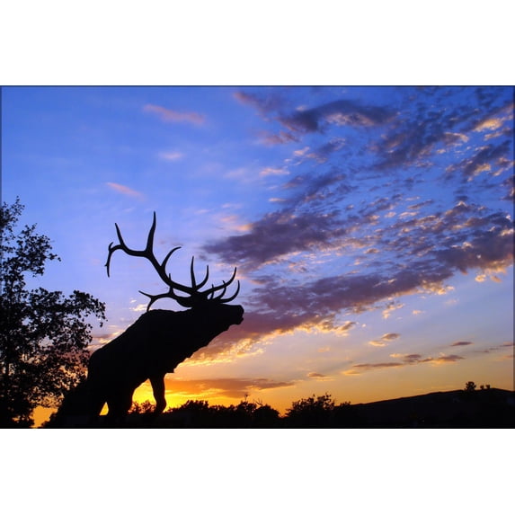 24"x36" Gallery Poster, Moose at sunset