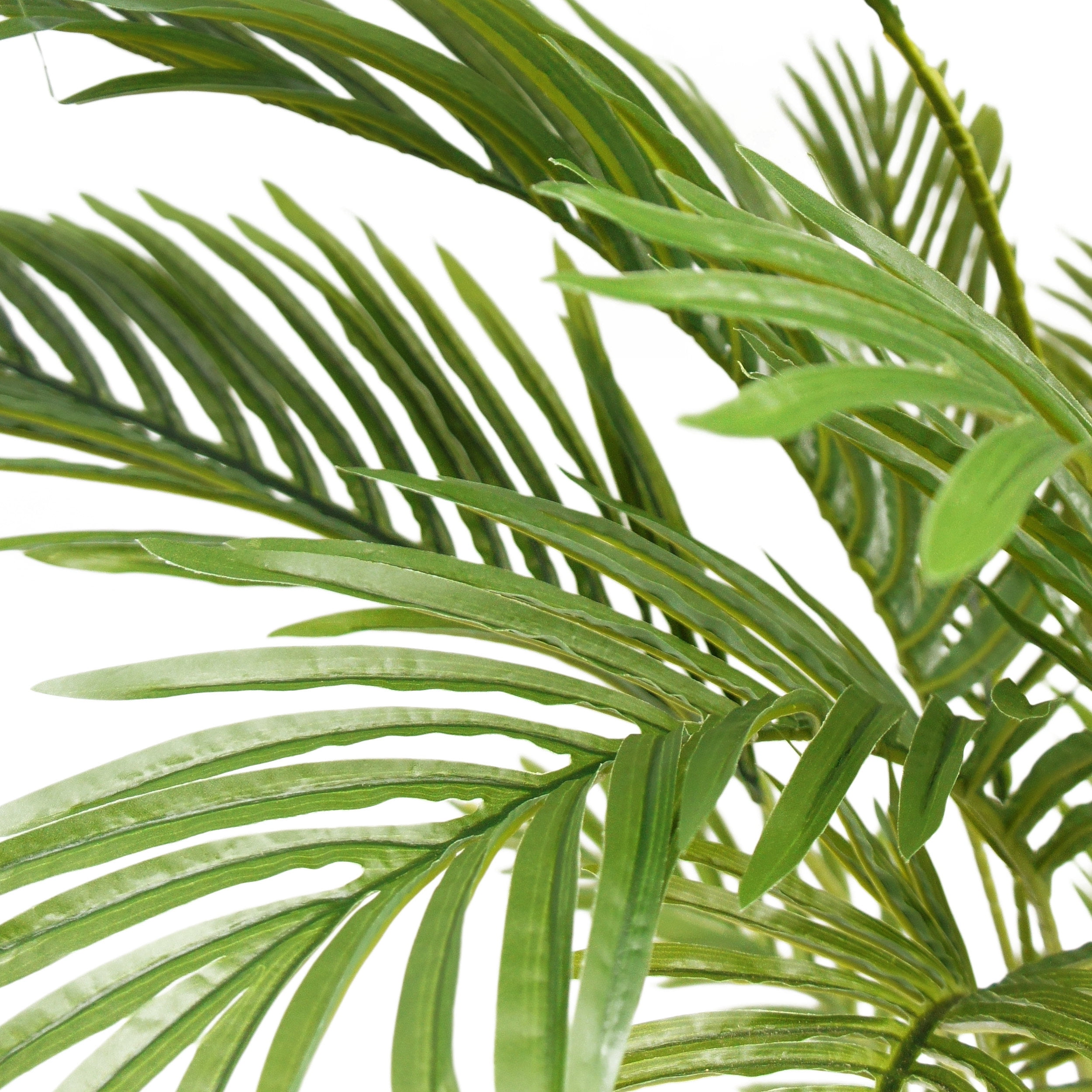Malheur 5' x 2.5' Artificial Tabletop Palm Tree, Green