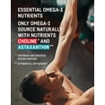 thumbnail image 4 of Kori Krill Antarctic Krill Oil Omega 3 Supplement, EPA & DHA, Krill Oil Supplements with Superior Absorption vs. Fish Oil, 800 mg, 90 softgels, 4 of 5