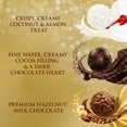 thumbnail image 4 of Ferrero Collection, 13 Count, Premium Gourmet Assorted Hazelnut Milk Chocolate, Dark Chocolate and Coconut, Easter Bunny Gift Box, Perfect Easter Basket Stuffers, 5 oz, 4 of 13