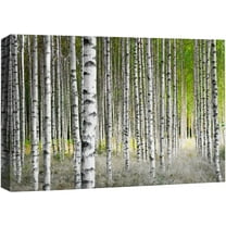 wall26 Canvas Print Wall Art White Birch Trees in Green Forest Nature Wilderness Photography Modern Art Rustic Scenic Colorful Multicolor for Living Room, Bedroom, Office - 32"x48"