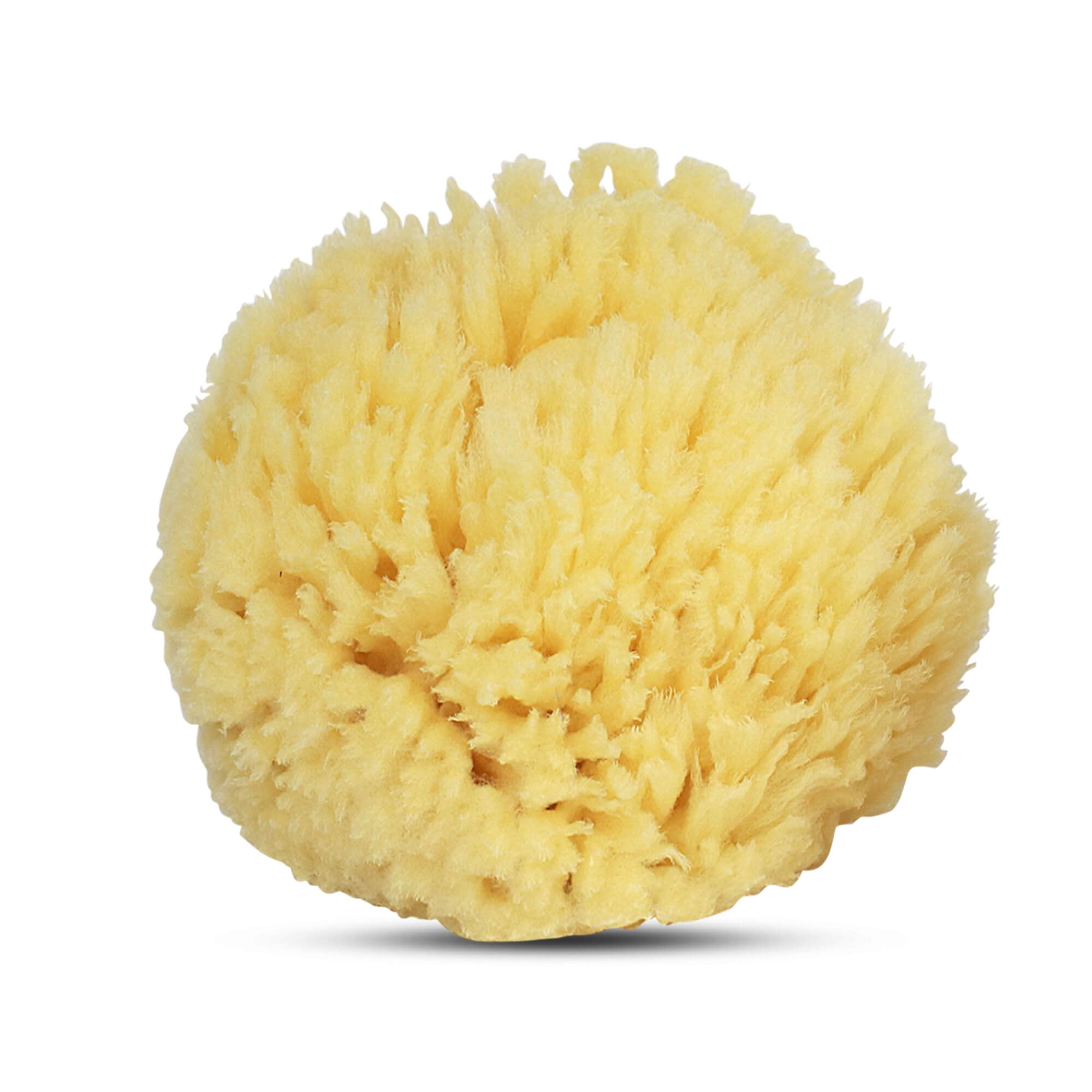 Baby natural sale sea sponge