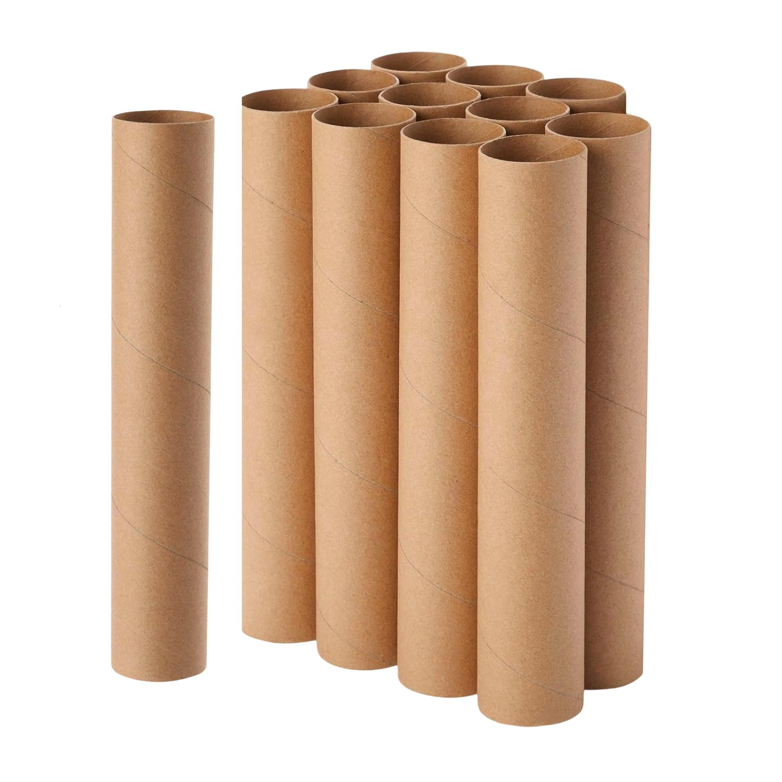 FVDPWYE 12 Pieces Cardboard Tubes Paper Towel Tubes for Family DIY Projects Handmade 30cm