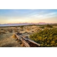 thumbnail image 2 of Molinari, Michele 14x11 Black Ornate Wood Framed with Double Matting Museum Art Print Titled - Italy-Riserva Naturale di Massaciuccoli San Rossore-protected coastal forest in Tuscan, 2 of 4
