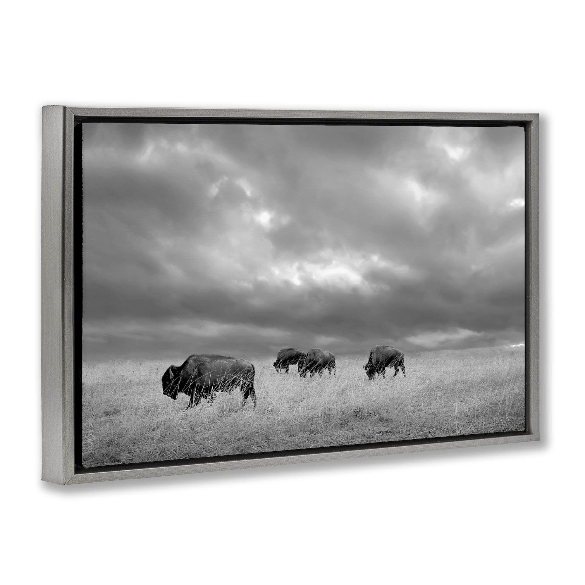 Stupell Industries Bisons Under an Autumn Sky Gray Framed Floater Canvas Wall Art, design by Steve Toole