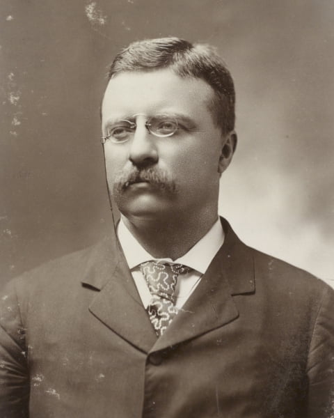 Print: Governor Theodore Roosevelt, Cabinet Size, No. 5 - Walmart.com