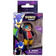 Sonic The Hedgehog Single Packs Dr. Don't Mini Figure