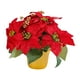thumbnail image 1 of Planta de flor de pascua artificial, flor artificial decorativa de Navidad de flor de pascua roja en maceta, para decoración navideña de mesa,, 1 of 9