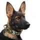 thumbnail image 3 of Duradero con hebilla de asa de seguridad para perros pequeños, grandes y medianos, entrenamiento canino, Camuflaje 36 a 48CM Jinwen cuello grande, 3 of 5