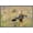 Barnwood Framed Version, variant on The Comedy Wildlife Photography Awards: Wendy Kaveney - That Wasn't Here Yesterday Wall Poster, 14.725" x 22.375"