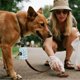 thumbnail image 5 of Portabolsas para perro con mosquetón, bolsa de almacenamiento para bolsas de residuos de mascotas, paseos al aire libre, 5 of 5