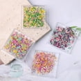 thumbnail image 6 of 3D Dried Flowers for Nails, Spring Flower Nail Art Stickers 1Box Dried Flowers for Resin Crafts Colorful Small Natural Floral Dried Flower Decals for Summer Acrylic Nails Design Manicure Accessories, 6 of 9