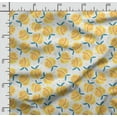 thumbnail image 2 of Soimoi Watercolor Fruit Print,Cotton Poplin, Sewing Fabric Sold by The Yard 42 Inch Wide,Sewing Craft Quilting/Quilt Making Fabric, Yellow, 2 of 5