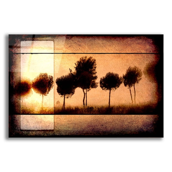 Epic Art 'For the Love of Trees I' by Lightbox Journal, Acrylic Glass Wall Art, 16"x12"