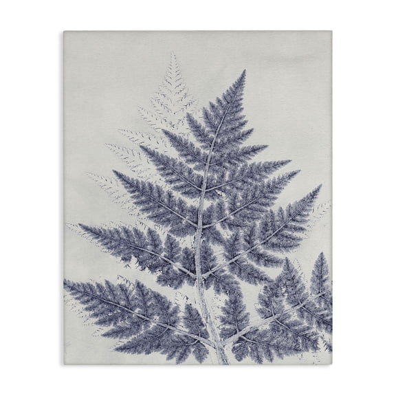 Stupell Industries Modern Blue Fern Imprint Canvas Art, 24 x 30, by Pernille Folcarelli