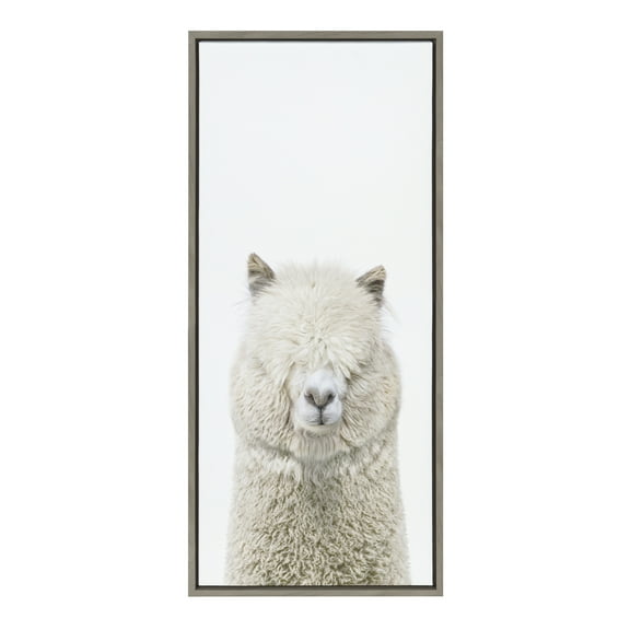 Sylvie Alpaca Fluff 18 in x 40 in Framed Photography Canvas Art Print, by Kate and Laurel