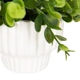 thumbnail image 3 of DesignOvation 7"H Artificial Eucalyptus Plant in White Ribbed Ceramic Pot, 3 of 8