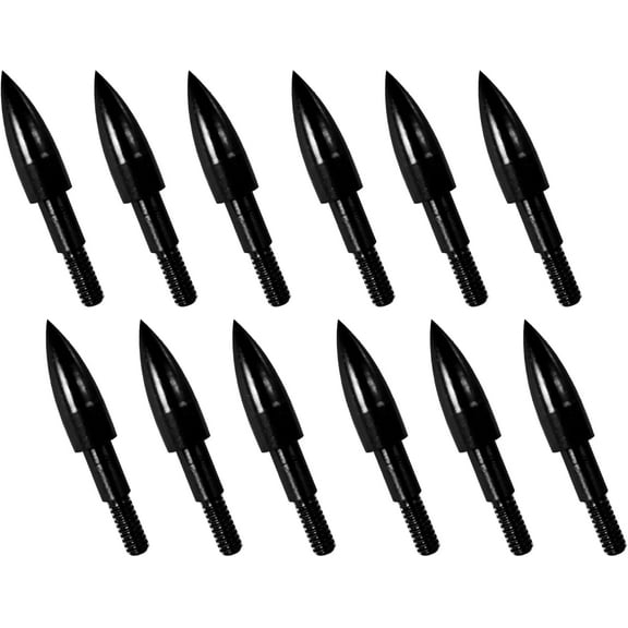12pcs Archery Arrow Tips 100/125/150/200 Grain Field Tips 5/16 Inch Screw in Bullet Points , Archery Target Crossbow Practice Tip for Arrow Recurve Bow Compound Bow, Hunting Bow Arrow Target Practice