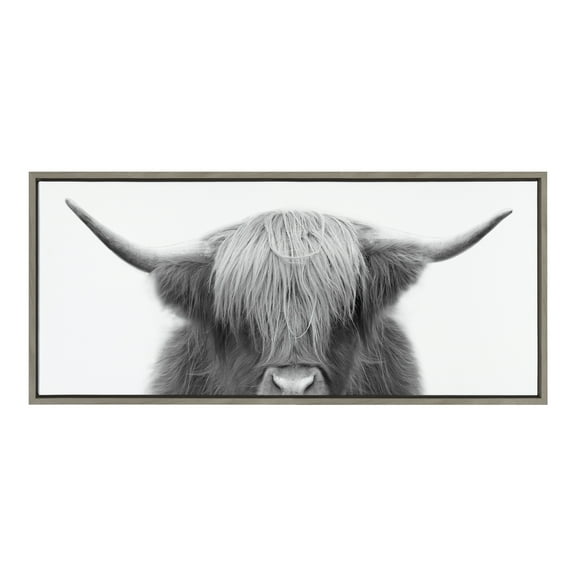 Sylvie Hey Dude Highland Cow 40 in x 18 in Framed Photography Canvas Art Print, by Kate and Laurel