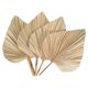 thumbnail image 1 of 4 Piezas de Hojas Palma Secas Abanicos Lanzas Plantas Artificiales Tropical, 1 of 5