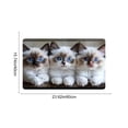 thumbnail image 2 of E Doormat Floor Mat For Bedroom Porch Hallway Dorm Home Decoration With Cat Design Non Slip Base 40X60Cm Easy To Clean, 2 of 7