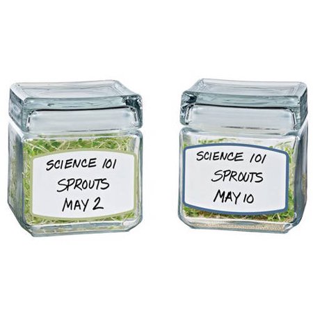 Dry Erase Labels 10/Pkg-3.75