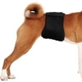 thumbnail image 5 of Reusable Dog Belly Bands Washable Male Puppy Diapers Wraps (2 Pack, Black), 5 of 5