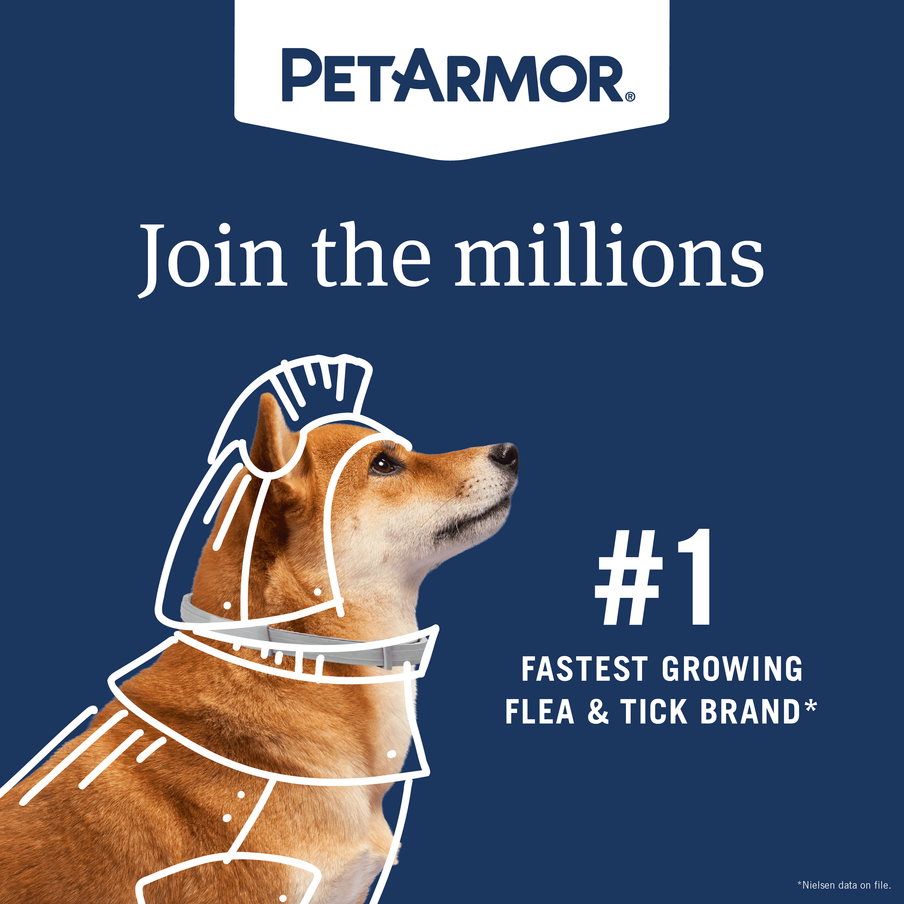 PetArmor Extend Flea & Tick Treatment & Prevention Collar for Small Dogs up to 18 lbs., 8 Months of Protection, Odorless & Non-Greasy, 1 Count