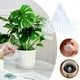 thumbnail image 5 of Almohadilla de malla para maceta de orquídeas - Cubierta inferior de maceta de plástico - Maceta de suculentas Forro transpirable a prueba de fugas - Promueve la circulación y el crecimiento de las, 5 of 7