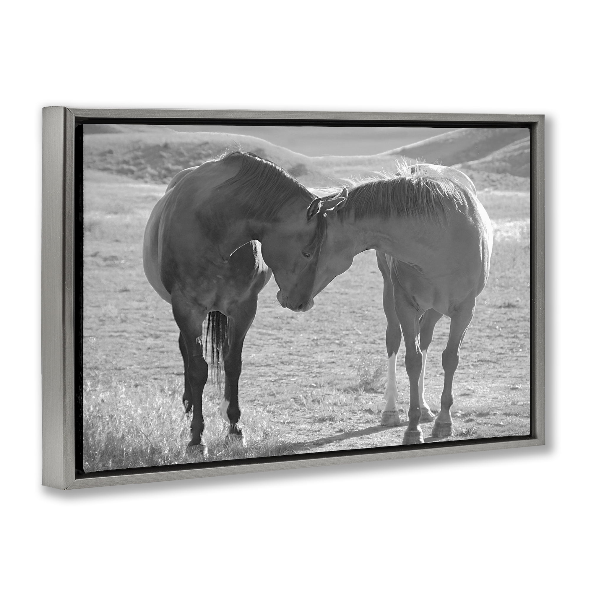 Stupell Industries Sweet Nothings Bond Between Horses Gray Framed Floater Canvas Wall Art, design by Steve Toole