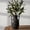 Black-Jar, variant on Ceramic Flower Vase with Handles, Large Decorative White Vase, Farmhouse Terracotta Vases for Home Decor, Rustic Vintage Vases for Living Room, Kitchen, Bedroom, Office, Coffee Table, 28CM