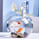 thumbnail image 5 of Juego de estacas de soporte de plantas | Soportes decorativos de soporte para jardín interior | Accesorios de propagación de plástico duraderos | 8 Piezas | Ideal para flores, hierbas | los, 5 of 7