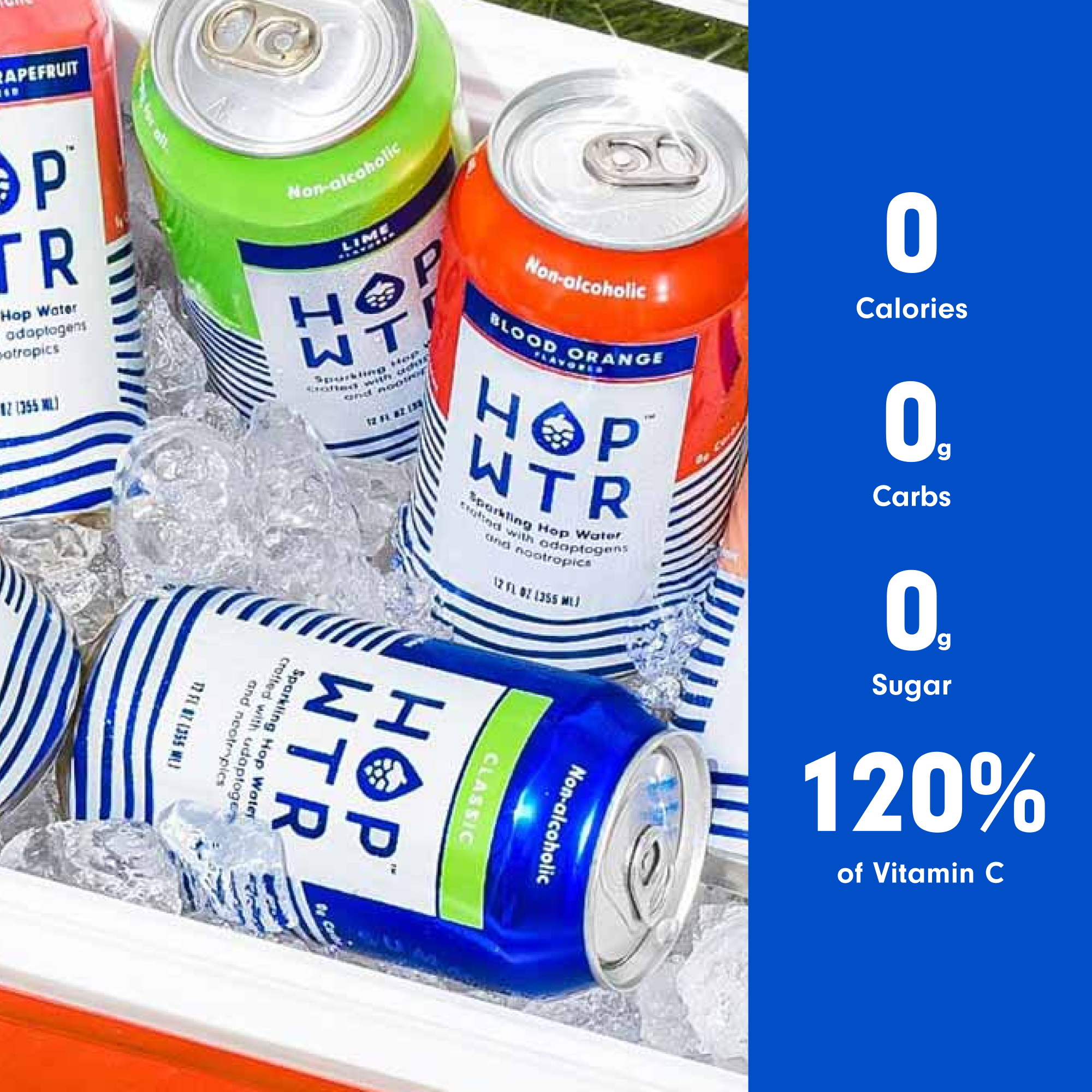 HopWtr - Non-Alcoholic Sparkling, Variety Pack 12-Pack, 12 oz Cans