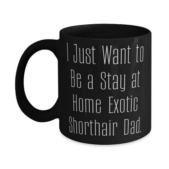Joke Exotic Shthair Cat 11oz Mug, I Just Want to Be a Stay at Home Exotic, Present F Cat Lovers, Reusable Gifts From Friends