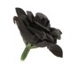 thumbnail image 3 of Paquete 10 Rosas Artificiales Cabezas Ramo De Flores Fiesta En Casa Boda Decoración De Bricolaje 8 Zulema Flores artificiales, 3 of 8